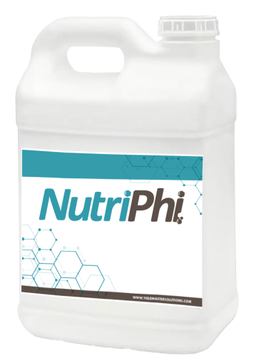 NutriPhi