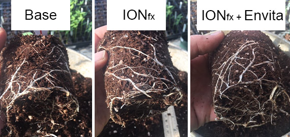 Greenhouse-comparison.jpg